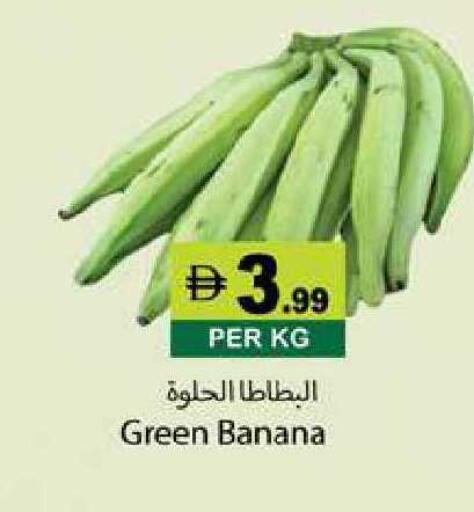Banana available at زين مارت سوبرماركت in الإمارات العربية المتحدة , الامارات - رَأْس ٱلْخَيْمَة