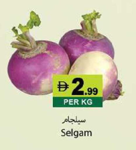 available at زين مارت سوبرماركت in الإمارات العربية المتحدة , الامارات - رَأْس ٱلْخَيْمَة