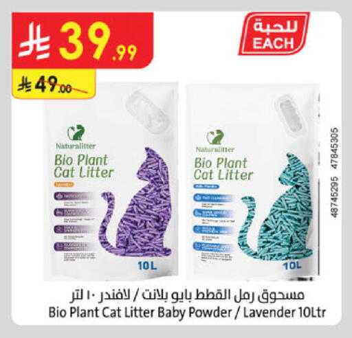 available at Danube in KSA, Saudi Arabia, Saudi - Tabuk