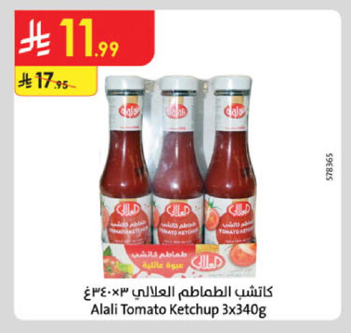 Tomato available at الدانوب in مملكة العربية السعودية, السعودية, سعودية - مكة المكرمة