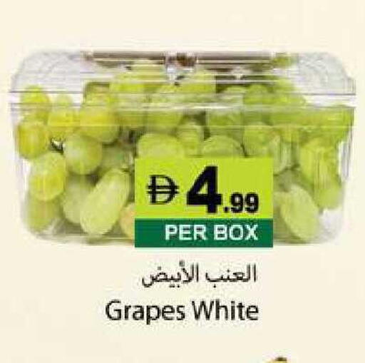 Grapes available at زين مارت سوبرماركت in الإمارات العربية المتحدة , الامارات - رَأْس ٱلْخَيْمَة