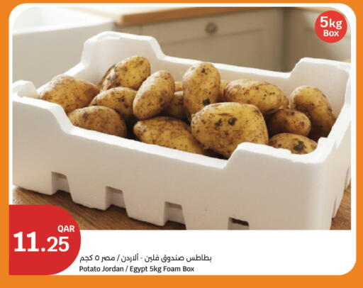 Potato from Jordan Egypt available at City Hypermarket in Qatar - Al Shamal