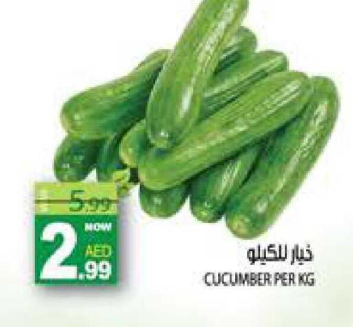 Cucumber available at هاشم هايبرماركت in الإمارات العربية المتحدة , الامارات - الشارقة / عجمان