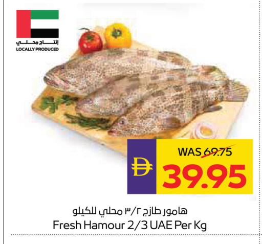 available at ADCOOP in UAE - Al Ain