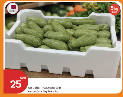 Marrow from Qatar available at City Hypermarket in Qatar - Al Shamal