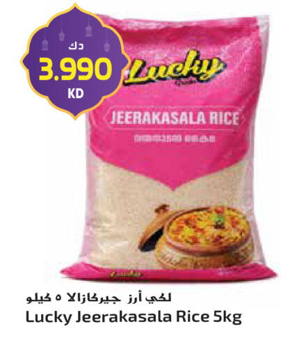 available at Grand Hyper in Kuwait - Jahra Governorate
