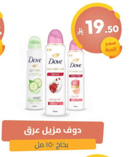 Cucumber available at صيدلية المتحدة in مملكة العربية السعودية, السعودية, سعودية - تبوك