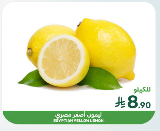 Lemon from Egypt available at  مـزايــا in مملكة العربية السعودية, السعودية, سعودية - القطيف‎