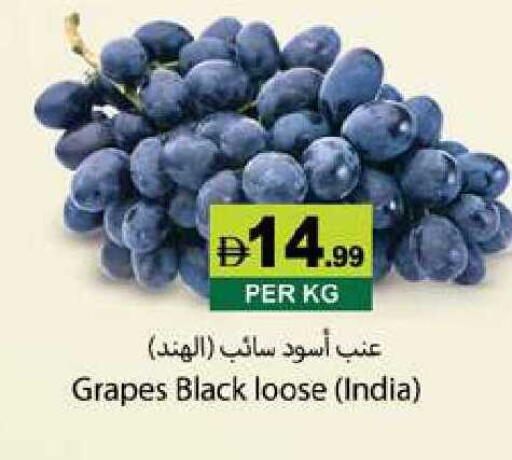 Grapes from India available at زين مارت سوبرماركت in الإمارات العربية المتحدة , الامارات - رَأْس ٱلْخَيْمَة