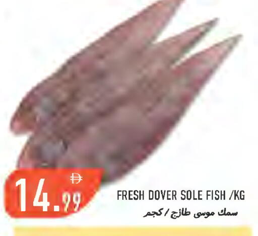 available at  روابي ماركت عجمان in الإمارات العربية المتحدة , الامارات - الشارقة / عجمان