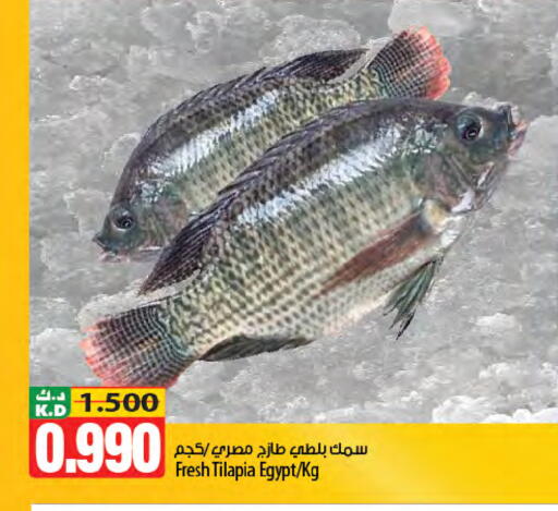 Mango available at مانجو هايبرماركت in الكويت - مدينة الكويت