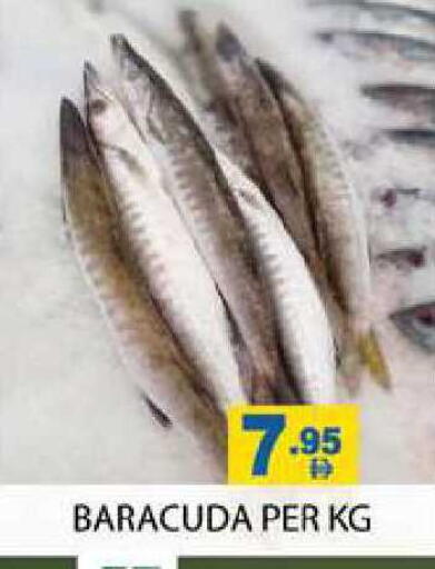 available at زين مارت سوبرماركت in الإمارات العربية المتحدة , الامارات - رَأْس ٱلْخَيْمَة