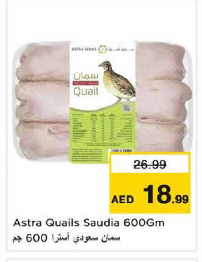 available at نستو هايبرماركت in الإمارات العربية المتحدة , الامارات - الشارقة / عجمان