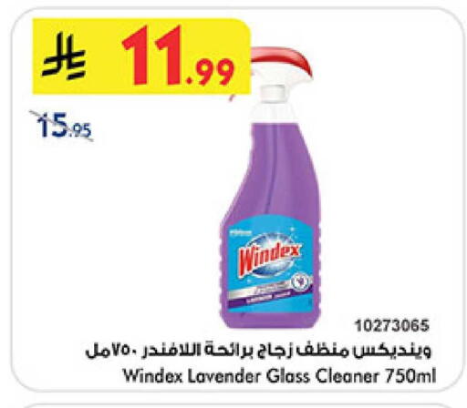 available at بن داود in مملكة العربية السعودية, السعودية, سعودية - المدينة المنورة