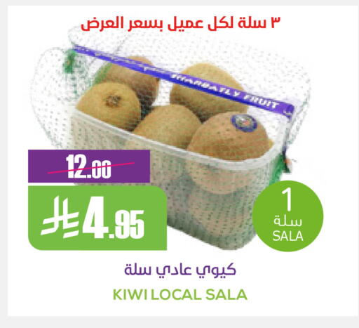 Kiwi available at Sapt in KSA, Saudi Arabia, Saudi - Buraidah