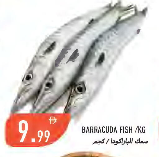 available at  روابي ماركت عجمان in الإمارات العربية المتحدة , الامارات - الشارقة / عجمان