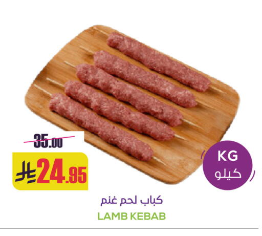 available at Sapt in KSA, Saudi Arabia, Saudi - Buraidah