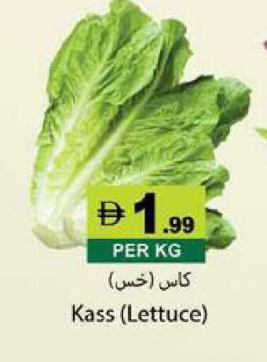 Lettuce available at زين مارت سوبرماركت in الإمارات العربية المتحدة , الامارات - رَأْس ٱلْخَيْمَة