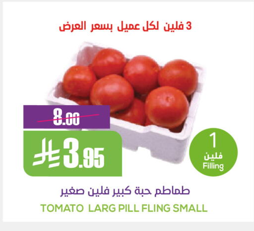 Tomato available at Sapt in KSA, Saudi Arabia, Saudi - Buraidah