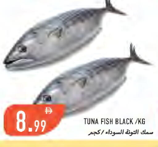 available at  روابي ماركت عجمان in الإمارات العربية المتحدة , الامارات - الشارقة / عجمان