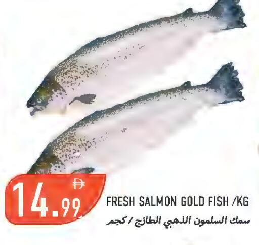 available at  روابي ماركت عجمان in الإمارات العربية المتحدة , الامارات - الشارقة / عجمان