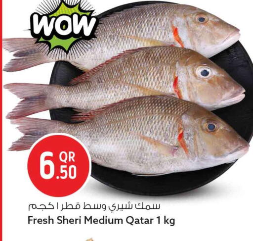 available at Safari Hypermarket in Qatar - Al Daayen
