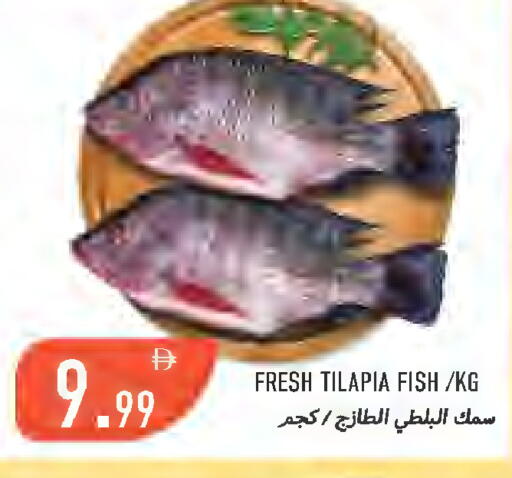 available at  روابي ماركت عجمان in الإمارات العربية المتحدة , الامارات - الشارقة / عجمان