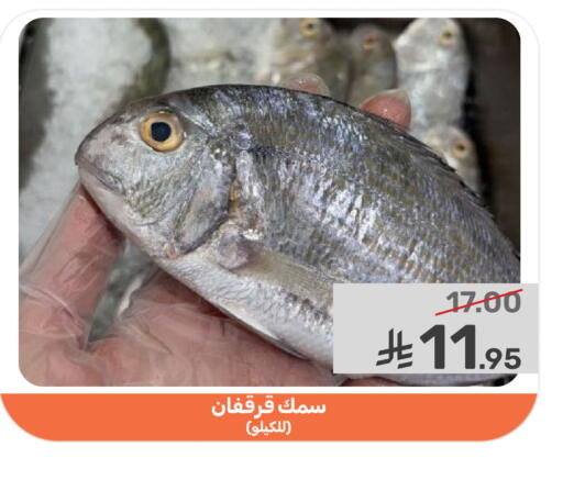 available at Mazaya in KSA, Saudi Arabia, Saudi - Qatif