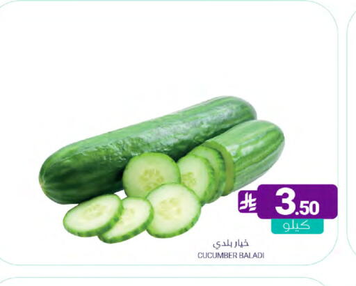 Cucumber available at اسواق المنتزه in مملكة العربية السعودية, السعودية, سعودية - المنطقة الشرقية