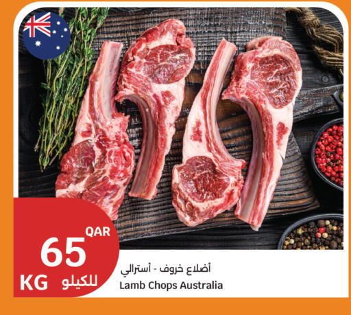 available at سيتي هايبرماركت in قطر - الضعاين