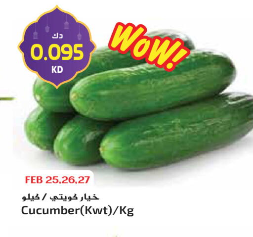 Cucumber available at Grand Hyper in Kuwait - Ahmadi Governorate