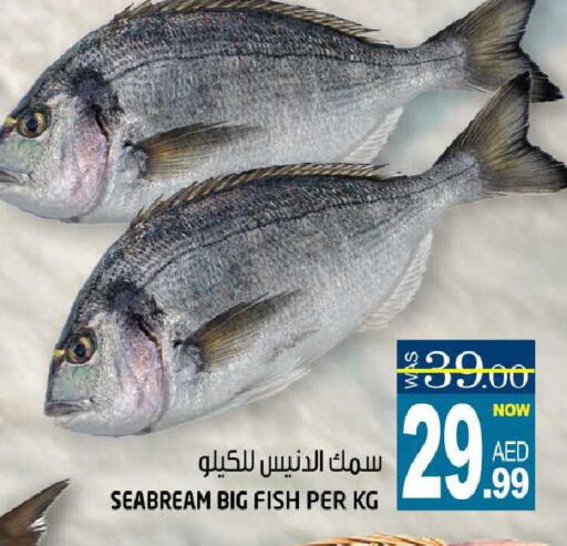 available at هاشم هايبرماركت in الإمارات العربية المتحدة , الامارات - الشارقة / عجمان