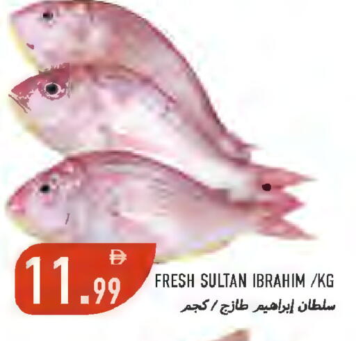 available at  روابي ماركت عجمان in الإمارات العربية المتحدة , الامارات - الشارقة / عجمان