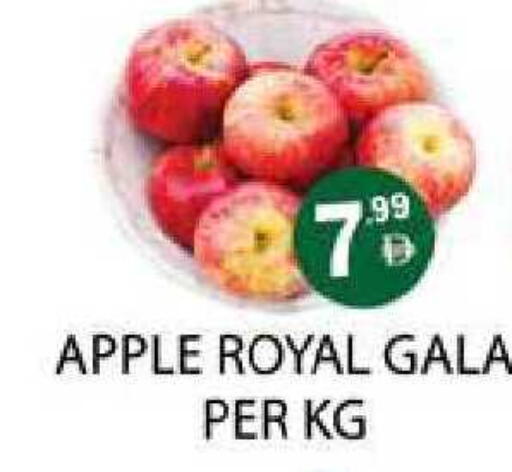Apple available at Zain Mart Supermarket in UAE - Ras al Khaimah