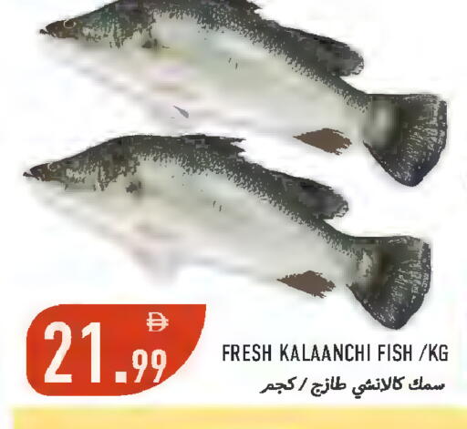 available at  روابي ماركت عجمان in الإمارات العربية المتحدة , الامارات - الشارقة / عجمان