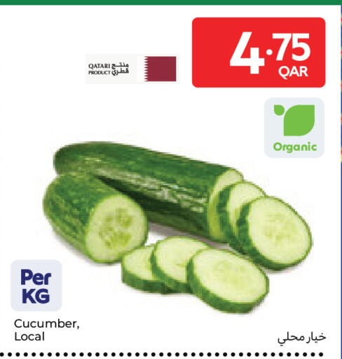 Cucumber from Qatar available at Carrefour in Qatar - Umm Salal