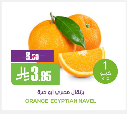 Orange from Egypt available at Sapt in KSA, Saudi Arabia, Saudi - Buraidah