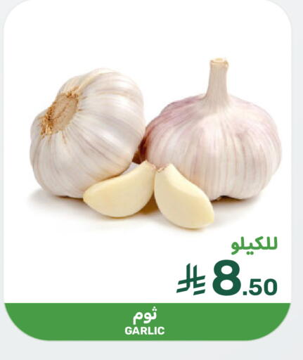 Garlic available at Mazaya in KSA, Saudi Arabia, Saudi - Qatif
