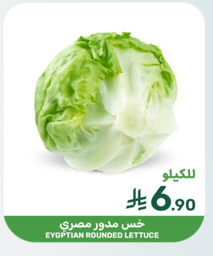 Lettuce available at Mazaya in KSA, Saudi Arabia, Saudi - Qatif