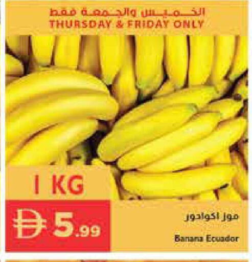Banana from Ecuador available at إسطنبول سوبرماركت in الإمارات العربية المتحدة , الامارات - الشارقة / عجمان
