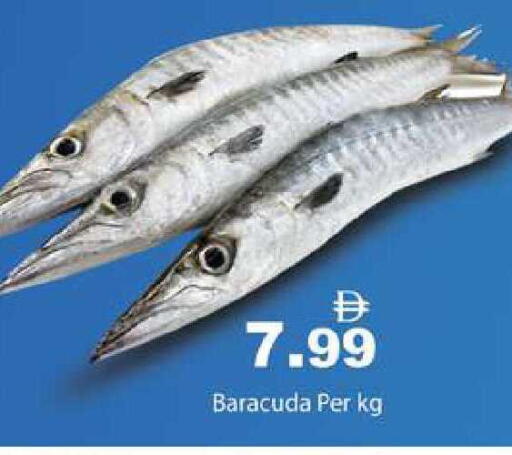 available at زين مارت سوبرماركت in الإمارات العربية المتحدة , الامارات - رَأْس ٱلْخَيْمَة