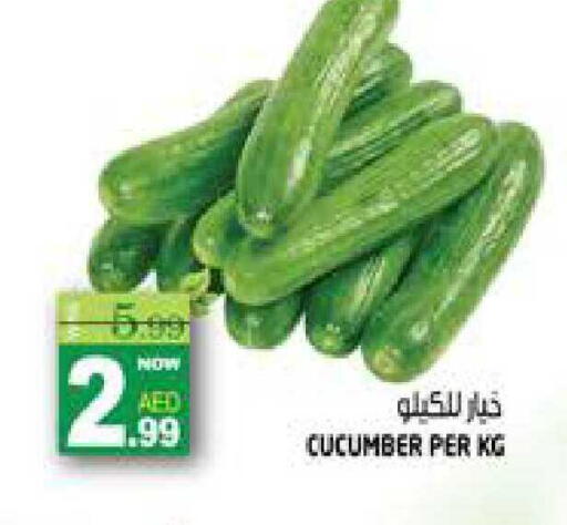 Cucumber available at هاشم هايبرماركت in الإمارات العربية المتحدة , الامارات - الشارقة / عجمان