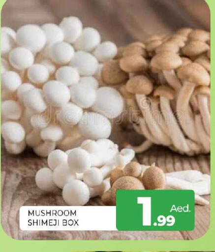 Mushroom available at المدينة in الإمارات العربية المتحدة , الامارات - الشارقة / عجمان