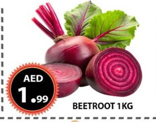 Beetroot available at AL WAHDA DISCOUNTS CENTRE in UAE - Sharjah / Ajman