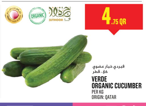 Cucumber from Qatar available at مونوبريكس in قطر - الشمال