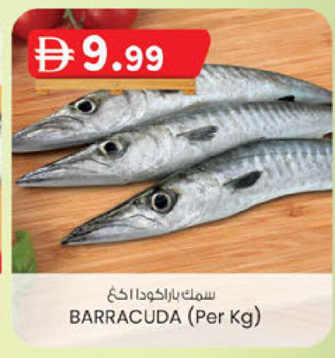 available at ك. إم. هايبرماركت in الإمارات العربية المتحدة , الامارات - أبو ظبي