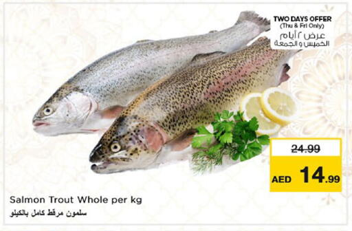 available at Nesto Hypermarket in UAE - Abu Dhabi