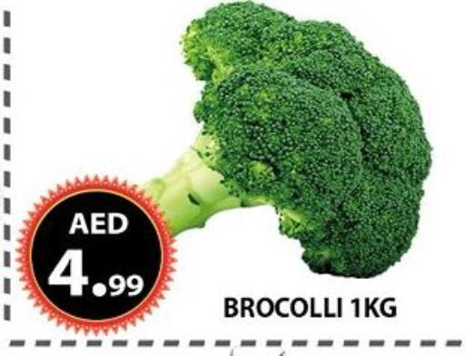 available at مركز الوحدة للتخفيضات in الإمارات العربية المتحدة , الامارات - الشارقة / عجمان