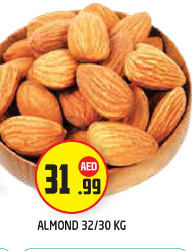 available at سنابل بني ياس in الإمارات العربية المتحدة , الامارات - أبو ظبي