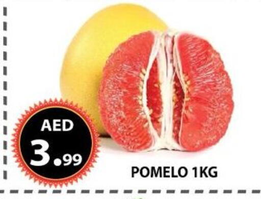 available at مركز الوحدة للتخفيضات in الإمارات العربية المتحدة , الامارات - الشارقة / عجمان